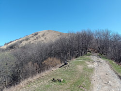 Bocchetta di Palanzo (1210 m) | Anello del Monte Palanzone