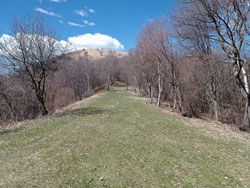 Bocchetta di Sciff (1255 m) | Anello del Monte Palanzone