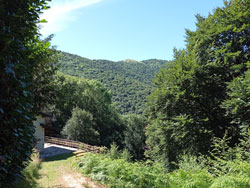 Cassinello (925 m) - Faggeto Lario | Anello del Monte Bolettone