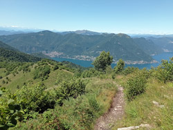 Dorsale per cresta (1210 m) | Anello del Monte Bolettone