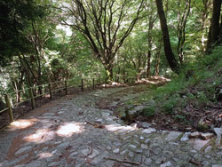 Via n.2 (900 m) - Faggeto Lario | Anello del Monte Bolettone