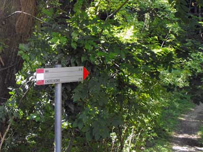 I resti di Castelvedro in località Mai