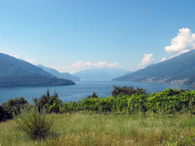 Pozzolo (340 m) - Domaso | Cammino da Gravedona a Gera Lario