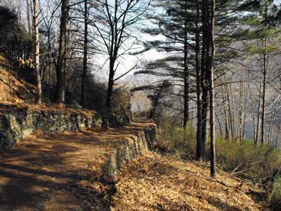 Sentiero n.7 (220 m) - Olgiasca | Escursione della Penisola di Piona