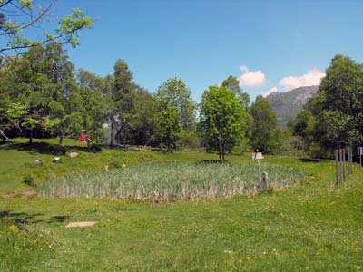 Sentiero del Viandante - 2ª Tappa Alta | Stagno del Pozzal (955 m.) - Esino Lario