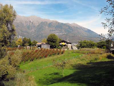 Sentiero del Viandante - 5ª Tappa | Dossa - Cosio Valtellino